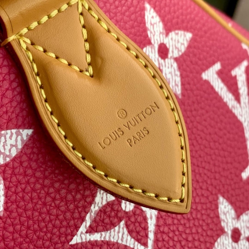 LV Speedy Bags